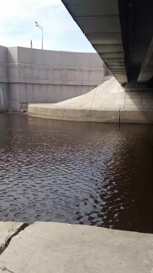 Наблюдатель Ловли с Моста