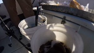 Морская рыбалка. Японское море. Как ловить камбалу.