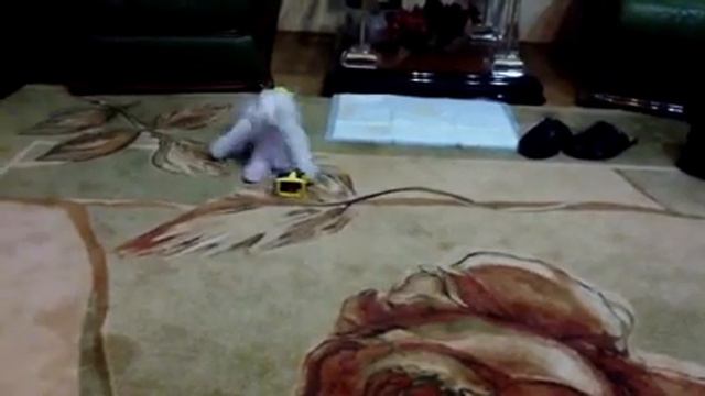 Мальтезе смотреть онлайн