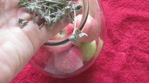 Яблоки консервированные целиком