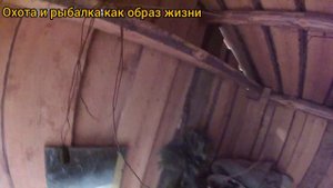 Охота на кабана с лабаза