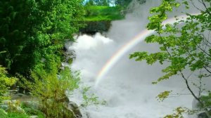 Cliff Richard - Somewhere over the Rainbow