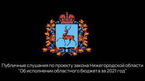 Публичные слушания по проекту закона Нижегородской области "Об исполнении областного бюджета за 2021