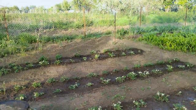 Добываем щебень и песок // Поливаем грядки смотреть онлайн
