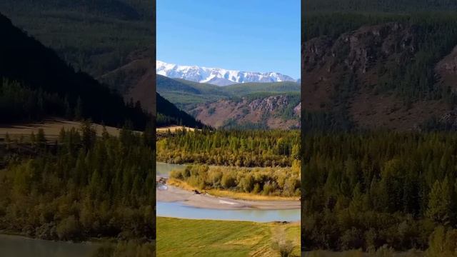 Доброе утро, страна!✌

🇷🇺 Россия-самая лучшая страна в мире, а все остальные страны нам завидуют!