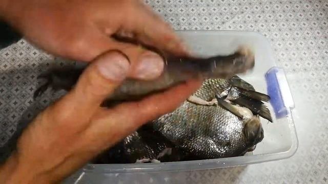 КАК СОЛИТЬ, СУШИТЬ И КОПТИТЬ РЫБУ