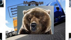 Дальнобойщикам! МАД_МЕДВЕДЬ ГИМН ГРУППЫ МЕДВЕДЕЙ в ВК .аЛиса Волкова
