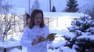 Коллекционные томаты по низким ценам. Аэлита: коллекционные томаты