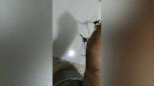 Проверка лайфхака по восстановлению боковых щёток роботов пылесосов. А вдруг сработает?