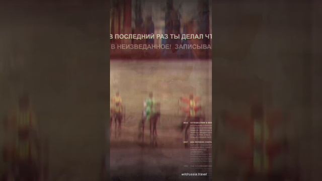 "По Диким Степям Забайкалья": конный тур из Монголии в Россию - начало.