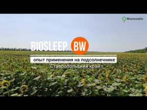 Репортаж с полей.  Применение BioSleep BW  на подсолнечнике