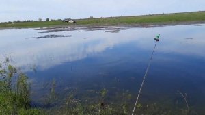 Ловим в весенний разлив. Отличный клев! Селитренное.