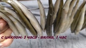КОРЮШКА холодного копчения в электростатической коптильне уэк