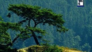 Иисус, сейчас Ты здесь. (Христианские песни с текстом. Старый сборник).