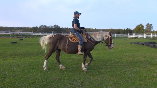 Тест рабочих сёдел: "казахского" типа и "вестерн" для лошадей. смотреть онлайн