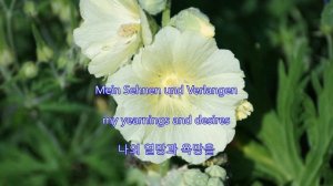 Im wunderschönen Monat Mai(In the beautiful month of May) -Fritz Wunderlich(Lyrics): 아름다운 5월에(가사)