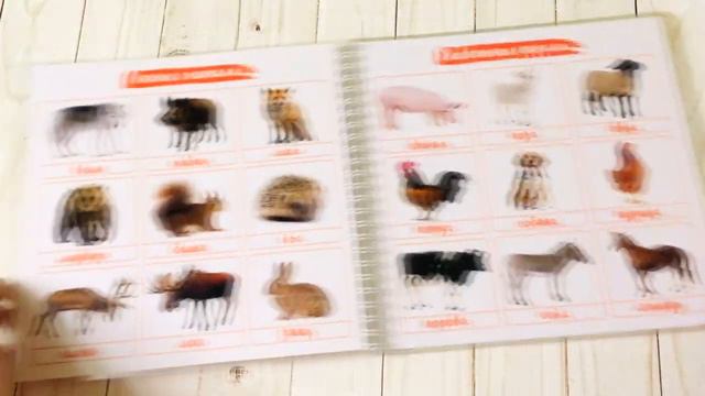 Книга с обучающими карточками для детей по методике Домана смотреть онлайн