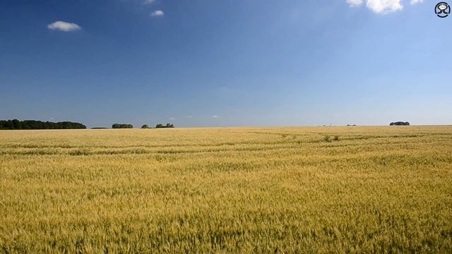 По Гоголевским местам (Полтавская облать)