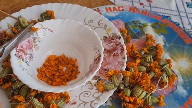 Імеретинський(український)шафран із чорнобривців. Як виготовити в домашніх умовах? смотреть онлайн