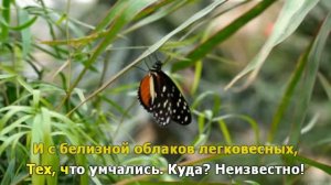 Я не заметил, как кончилось лето