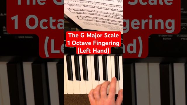 The G Major Scale - 1 Octave (Left Hand) #piano #pianolessonsforbeginners #musictheory #majorscale