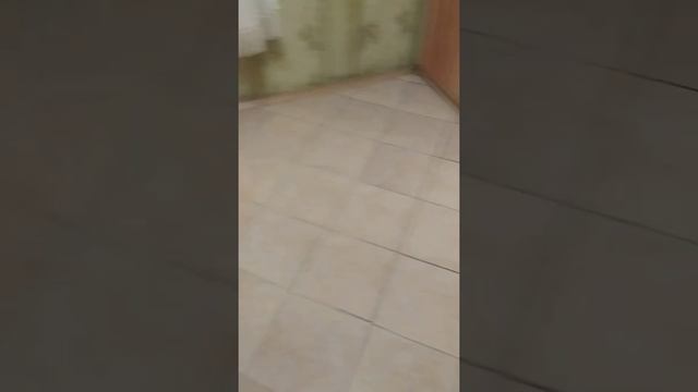 Данте Кани Корсо и Молли двор-терьер. смотреть онлайн