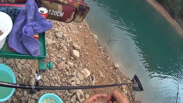 Ловим карпа и карася на водохранилище в Испании, метод Херабуна. Насадка картоха! Часть 1 смотреть онлайн