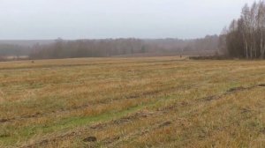 Первое знакомство с Golden Mask 5+. Обзор сигналов.