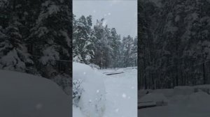 Леонид Телешев & Александр Юрпалов - Шальная игра - Димитровград 2022 год.