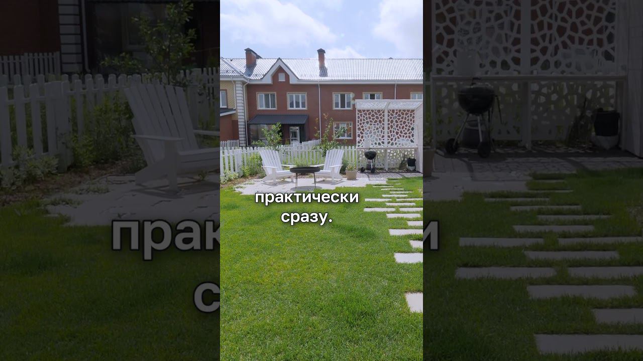 какой газон выбрать  #ландшафтныйдизайн #газон #сад #благоустройствотерритории
