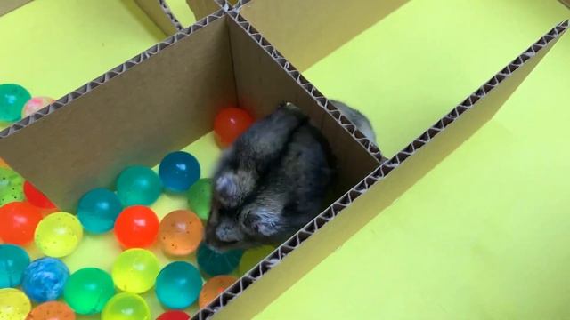 ОГРОМНЫЙ ДОМ для хомяка Топы | Лабиринт 5 этажей | DIY смотреть онлайн