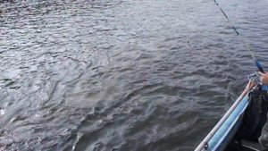 2012. Щука. Рыбалка. Фатьяниха. Север Красноярского края.