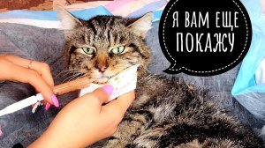 ВПЕРВЫЕ кормлю Кузю, его стали бить СУДОРОГИ