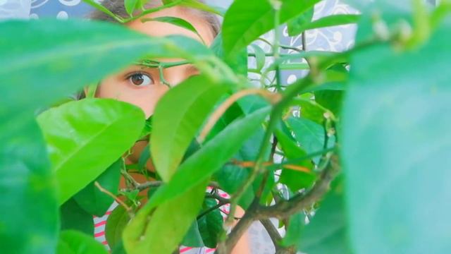 3 идеи для фото дома! 🤗🤩😉//SOFA V //gg 🤣👑 смотреть онлайн