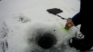 Рыбалка на Сурском водохранилище! 11.01.2020. Красоты зимы. Рыба!