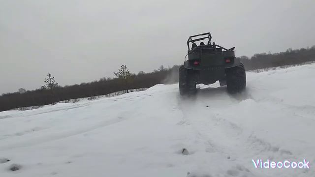 Прайд