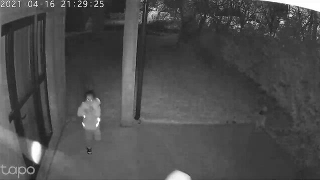 Tapo c310 / scaring the kids ? смотреть онлайн