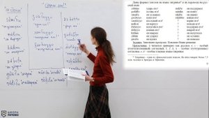 Разбор задач первого тура 49 Традиционной олимпиады по лингвистике 8-9 классов