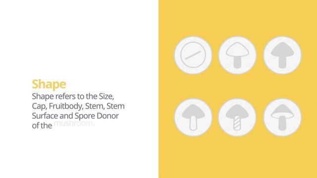 Fleecy milkcap (Lactarius vellereus) | Shape | Practical Short Profile | Shroomers смотреть онлайн