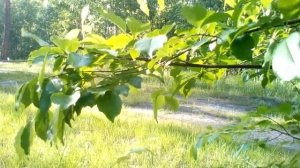 Христианские стихи с глубоким смыслом.