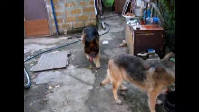 отработка команды Ко мне смотреть онлайн