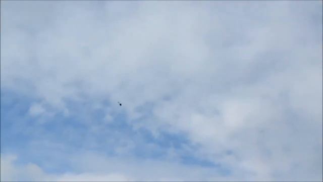 T Rex 700 & Canon SX 160 смотреть онлайн