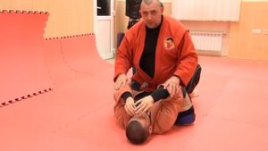 Боевое Самбо: применение ударов в стойке и партере, бросковая техника.