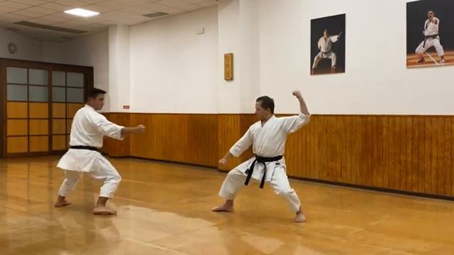 Gankaku - Full Karate Kata Explanation with Bunkai - Master Dario Marchini смотреть онлайн