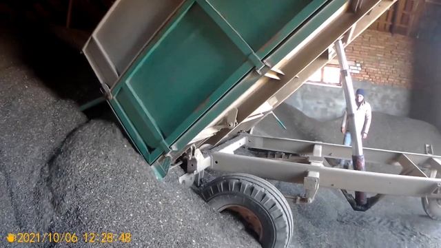 Горнуля до МТЗ-82. Горнемо зерно в складі. смотреть онлайн