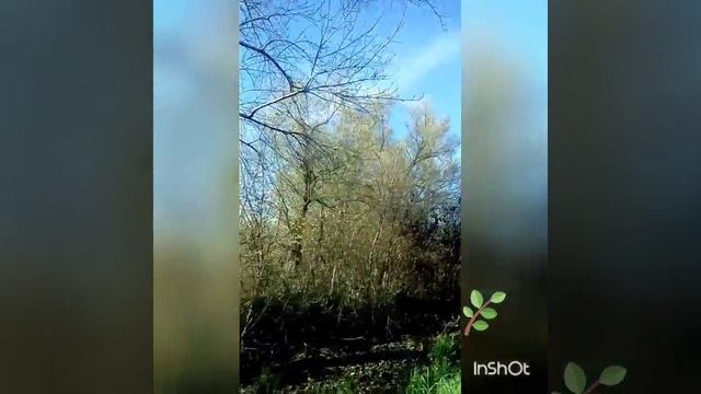 Красота осени... Осень.... Природа