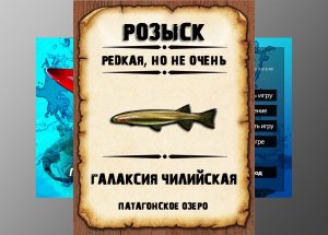 Редкости рр3. Галаксия чилийская рр3. Патагонское озеро.