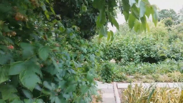 Весь мир. Вайнахский мед в Европе. 1 часть. смотреть онлайн