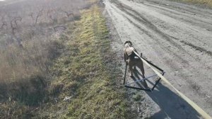 Тренировка питбулей / выходные с пользой/ приходим в форму / прогулка с собаками / 2021