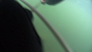 Зелинка 600 VS Пеленгас Магнум 700+ Практические тесты , отзыв и выбор ружья для себя.